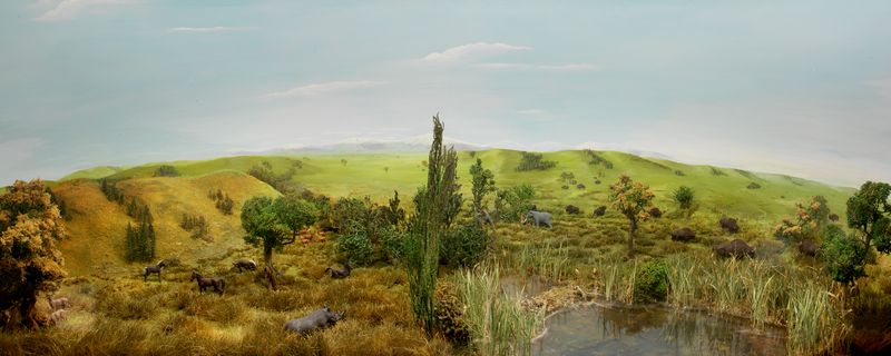 Diorama del lago pleistocenico del fiume Conca
